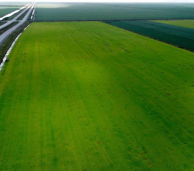 dji_export_1650771466504